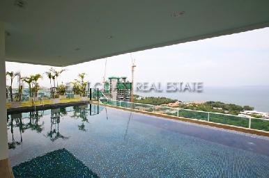 The View 1