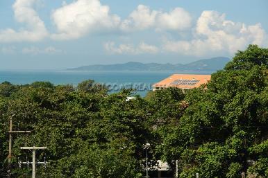 The View 9