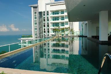 The View 3