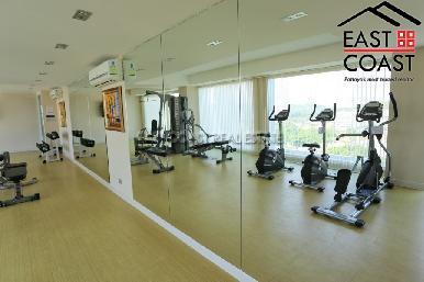 The View 9