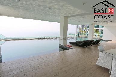 The View 8