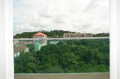 The View  6