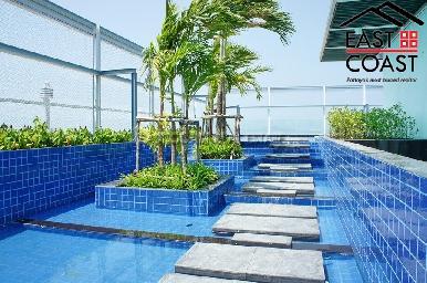 Treetops 13