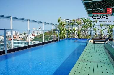 Treetops 14