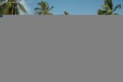 Land in Pong Land For Sale in  East Pattaya