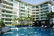 The Sanctuary condos For Rent in  Wongamat Beach