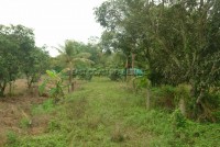Huay Yai Land For Sale in  East Pattaya