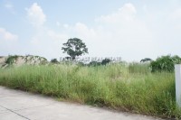 Land at soi Wat Boon Land For Sale in  Jomtien