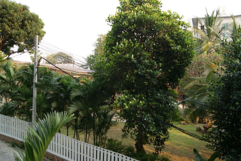 Laguna Heights 3