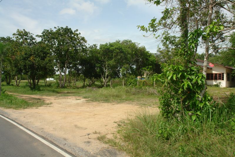 realestate