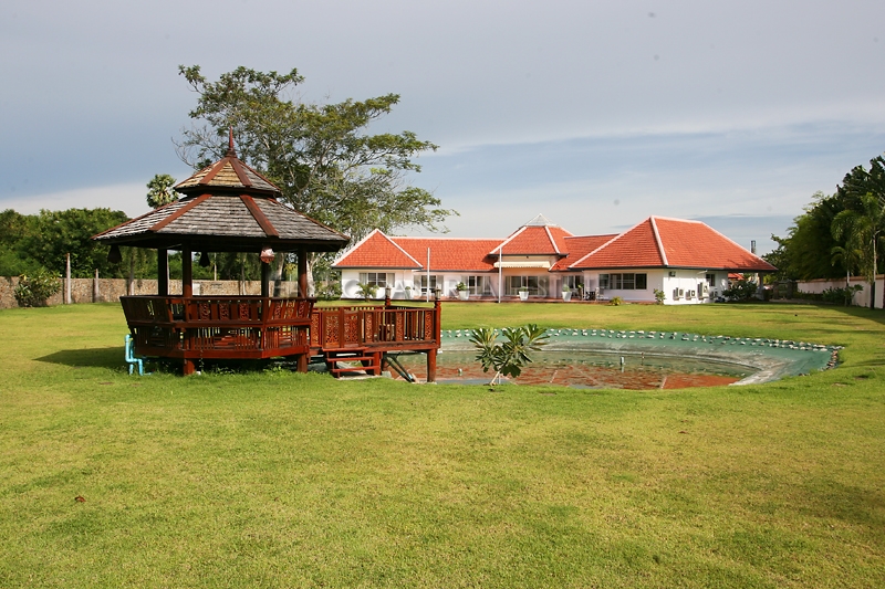 Crocodile Farm  5