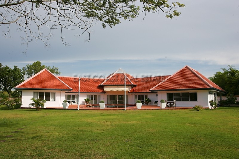 Crocodile Farm  1