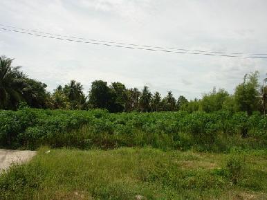 Huay Yai Land 1