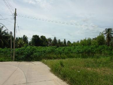 Huay Yai Land 3