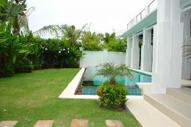 Palm Oasis 9