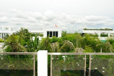 Palm Oasis 8
