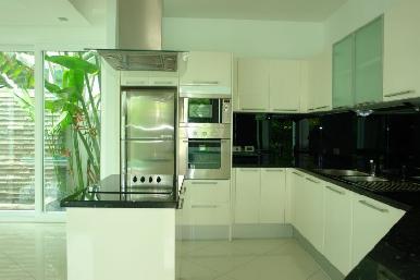 Palm Oasis 7