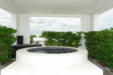 Palm Oasis 6