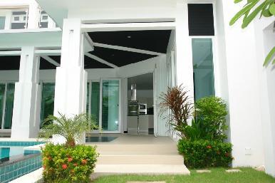 Palm Oasis 5