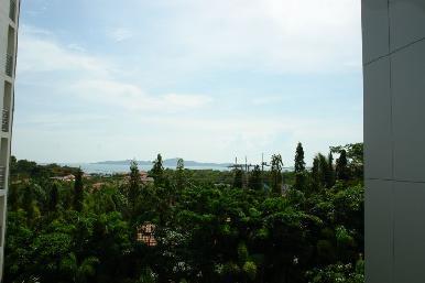 Sunset Boulevard 6