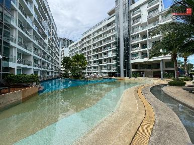 Laguna Beach 1 21