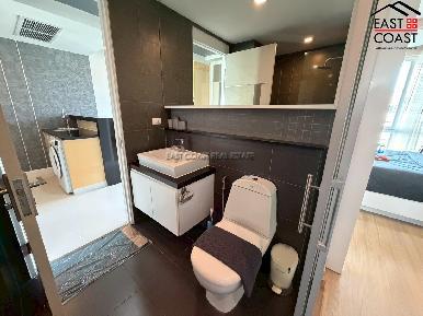 Apus Condominium 3