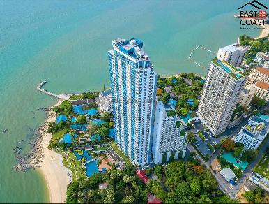 The Palm 16