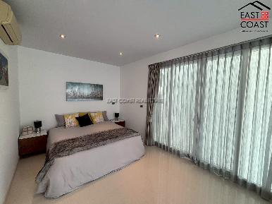 Palm Oasis 3