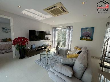 Palm Oasis 16