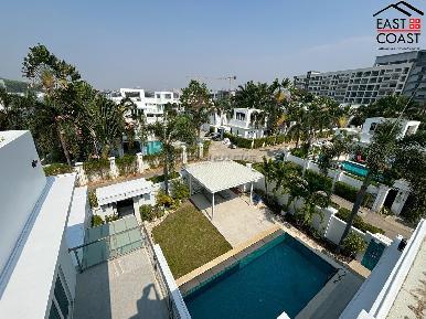 Palm Oasis 33