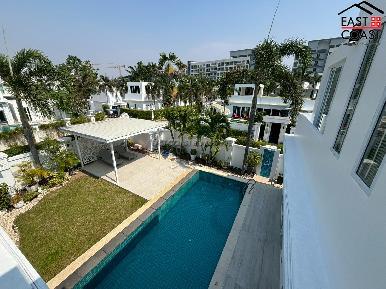Palm Oasis 35