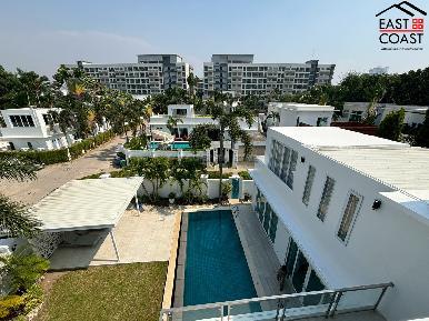 Palm Oasis 36