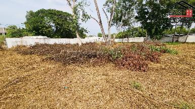 Land Investment Na Jomtien 7