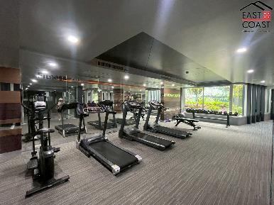 Apus Condominium 14