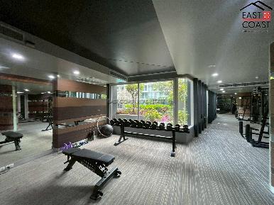 Apus Condominium 19
