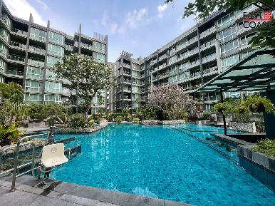 Apus Condominium 21