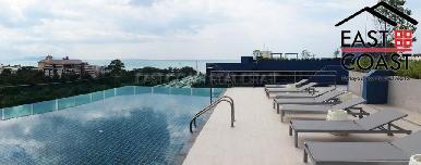 Acqua 14
