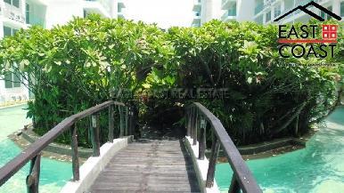 Amazon Residence 5