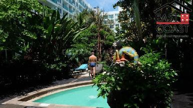 Amazon Residence 17