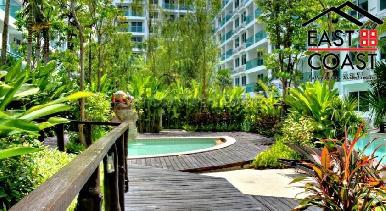 Amazon Residence 32