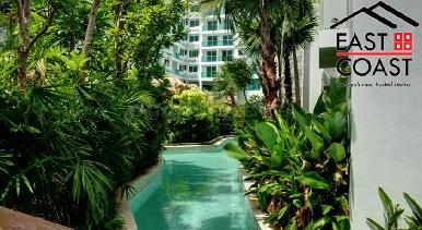 Amazon Residence 33