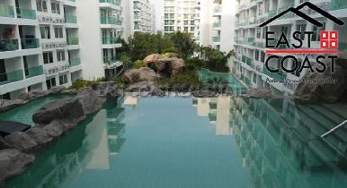 Amazon Residence 15