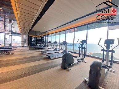 Andromeda Condominium 10