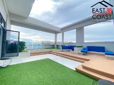 Andromeda Condominium 13