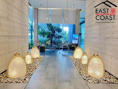 Andromeda Condominium 6