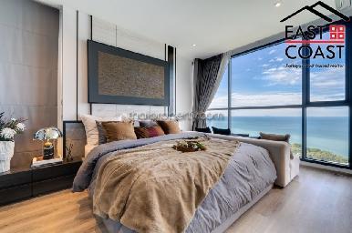 Andromeda Condominium 1