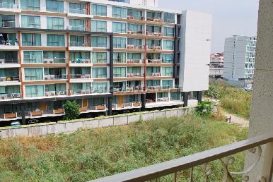 City Garden 8