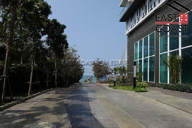 Del Mare  23