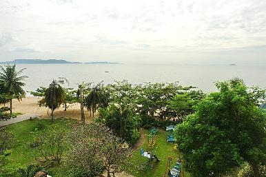 Golden Sand 13