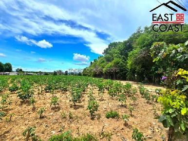 Land Maprachan  6